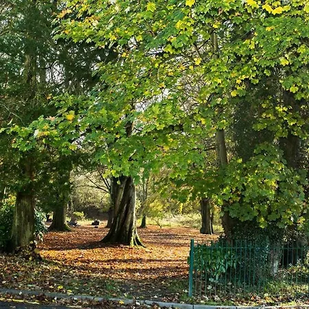 Apartman Sunnyside - Spacious 2 Bedroom Ground Floor With Free Parking In Kendal, Cumbria Kendal